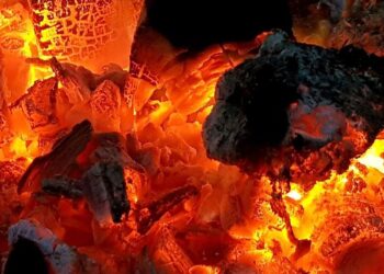 Coal