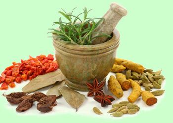 विश्व में बहुत तेजी से लोकप्रिय हो रहा हैआयुर्वेद