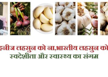 चाइनीज लहसुन को ना, भारतीय लहसुन को हां: स्वदेशी उत्पादों को बढ़ावा और स्वास्थ्य की सुरक्षा