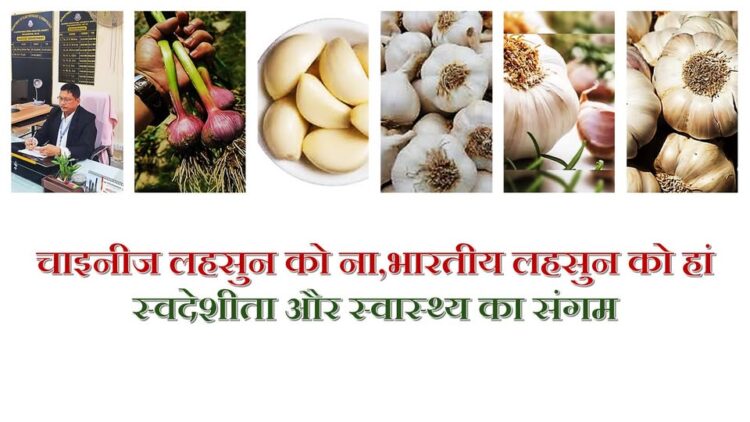 चाइनीज लहसुन को ना, भारतीय लहसुन को हां: स्वदेशी उत्पादों को बढ़ावा और स्वास्थ्य की सुरक्षा