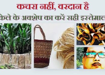 “कचरा नहीं, वरदान है – केले के अवशेष का करें सही इस्तेमाल!” डॉ एस के सिंह