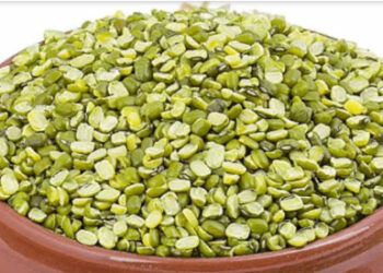 बीमारियों में क्यों खाते हैं मूंग की दाल? जानिए इसके जबरदस्त फायदे