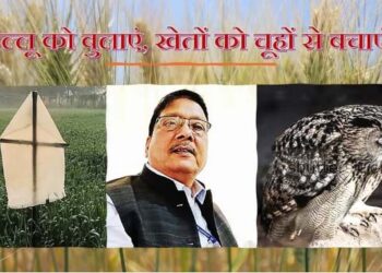 “उल्लू को बुलाएं, खेतों को चूहों से बचाएं!” डॉ एस के सिंह