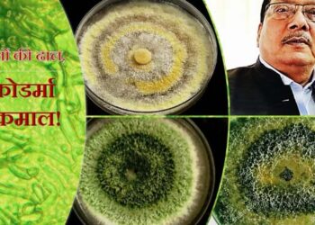 फसलों की ढाल, ट्राइकोडर्मा का कमाल : डॉ एस के सिंह