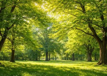 SPORTS & ENVIRONMENT: IOA Urges State Units to Plant 2,036 Trees Each for Olympic Day