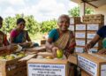From Simdega to London: Jharkhand’s Women-Led Farm Group Flags Off First Historic Mango Export to UK