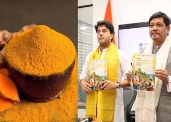 Mission Golden Spice: ₹175-Crore Initiative Launched to Elevate Meghalaya’s Lakadong Turmeric