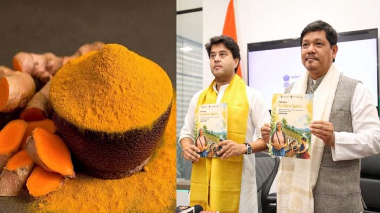Mission Golden Spice: ₹175-Crore Initiative Launched to Elevate Meghalaya’s Lakadong Turmeric