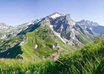 Hindus Welcome Liechtenstein’s Move to Allow Women on the Throne, Call for Global Reform