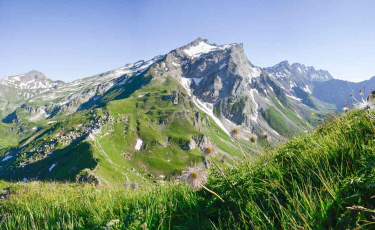 Hindus Welcome Liechtenstein’s Move to Allow Women on the Throne, Call for Global Reform