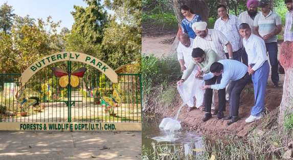 Chandigarh Administration Launches Biological Drive Against Mosquitoes at Butterfly Park